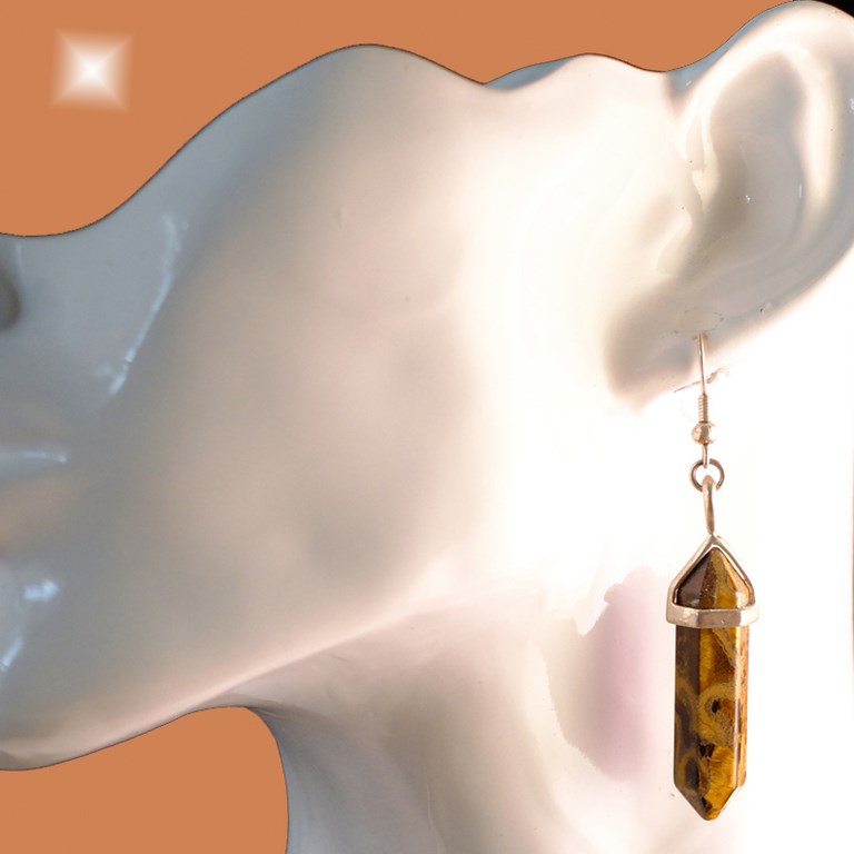 Boucles d'oreilles fantaisie